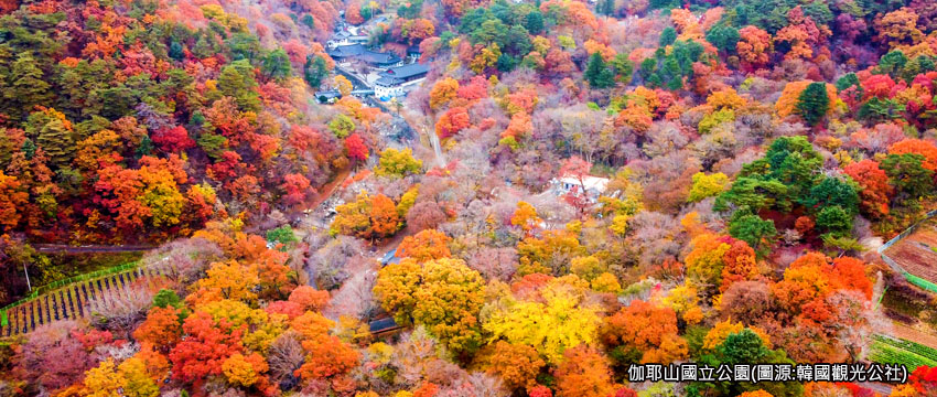 伽耶山國立公園